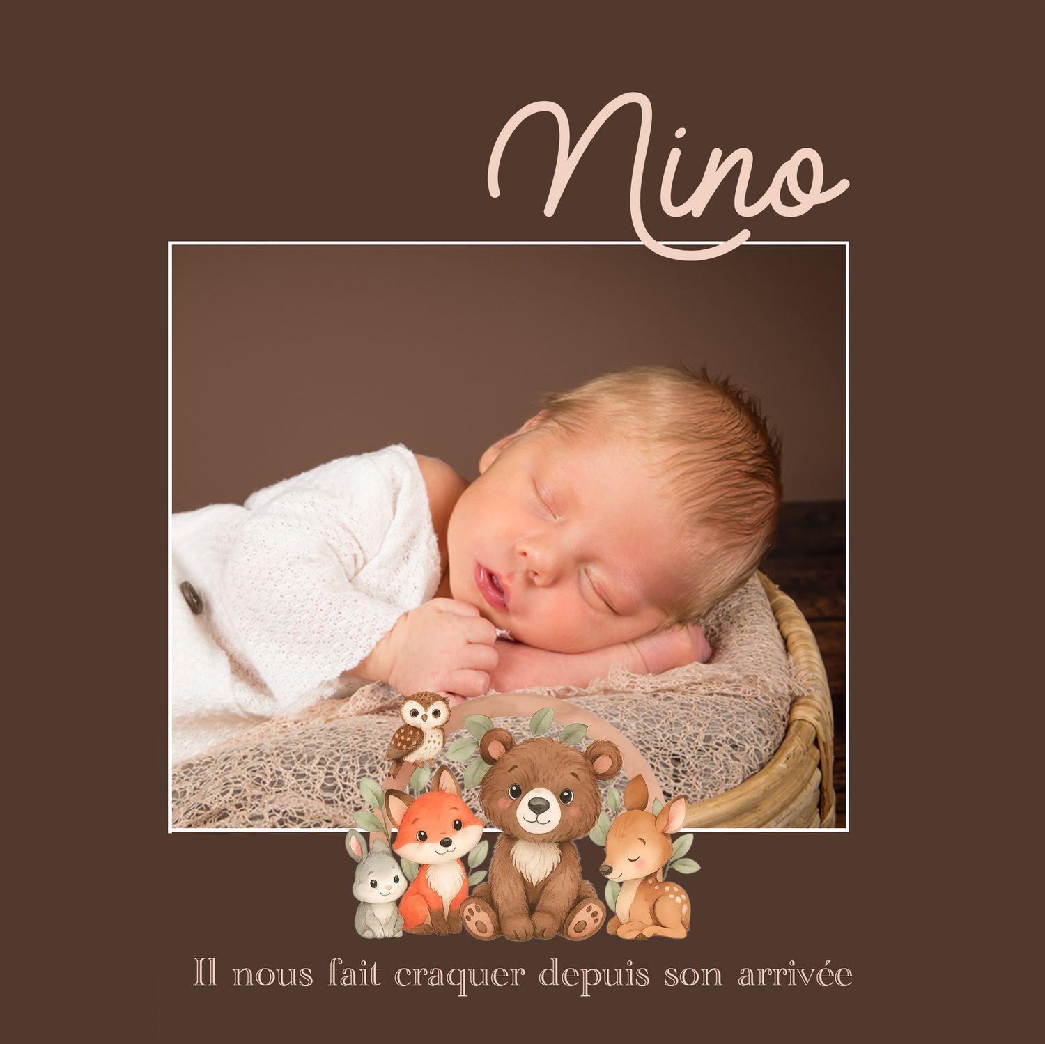 faire-part séance photo studio bébé nourrisson photographe Corse Venzolasca Bastia Borgo Folelli Furiani Moriani Corte Aleria Ile Rousse