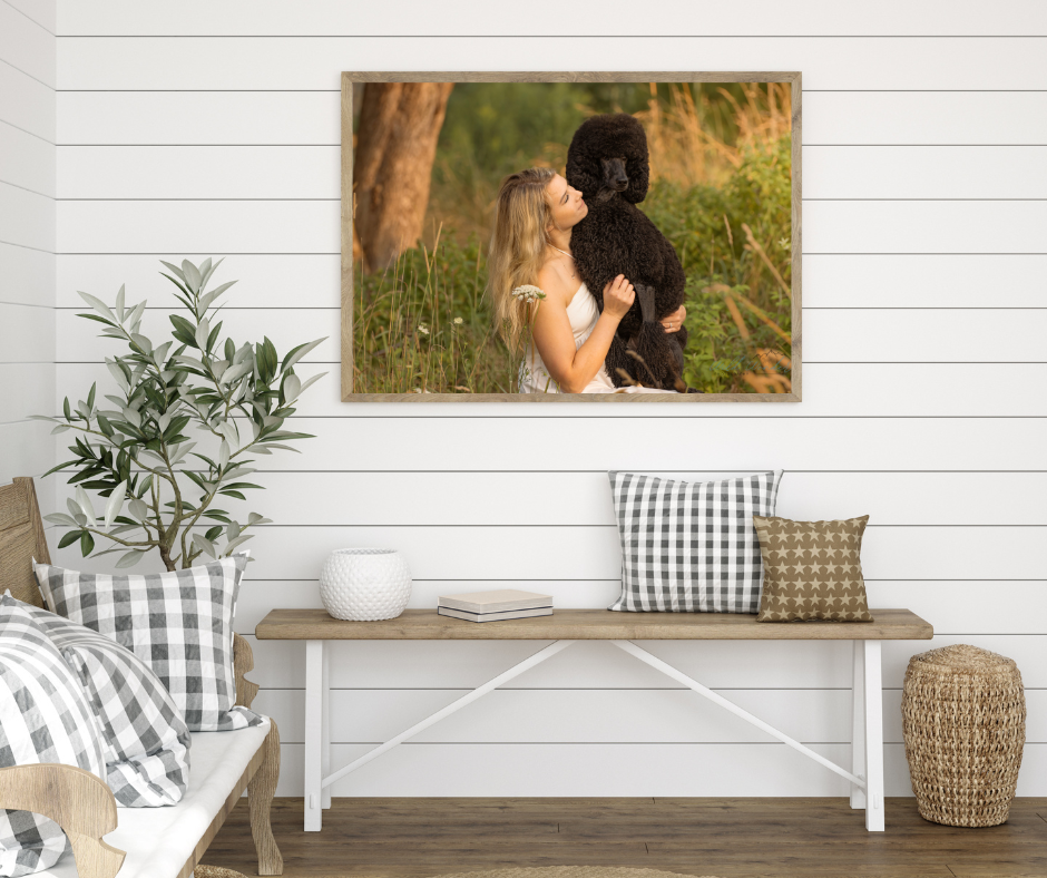 A cozy living room interior with framed dog portrait and farmhouse style bench decor.