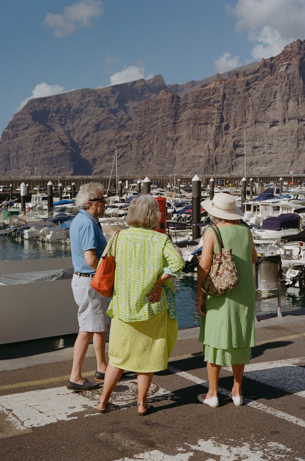 Marina with boats docked against imposing cliff backdrop in a coastal harbor.