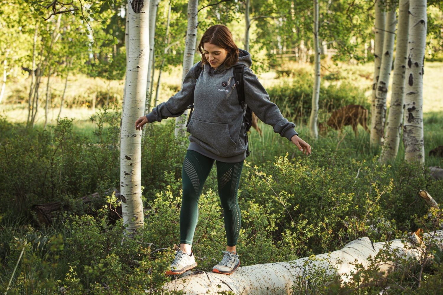 Person balancing on fallen tree trunk among aspen trees in forest setting.