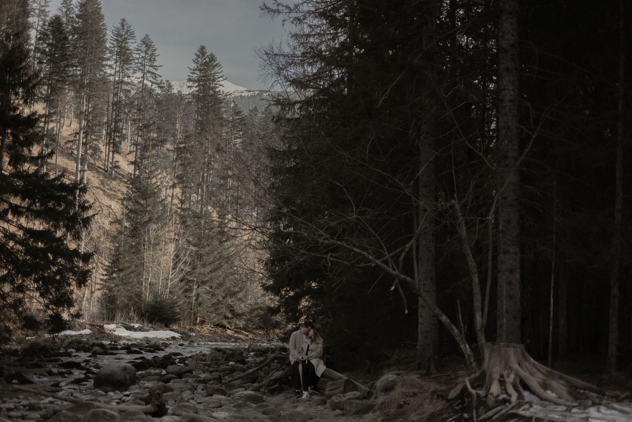 A figure stands near a river flowing through a dark moody forest with pine trees and exposed roots in winter.