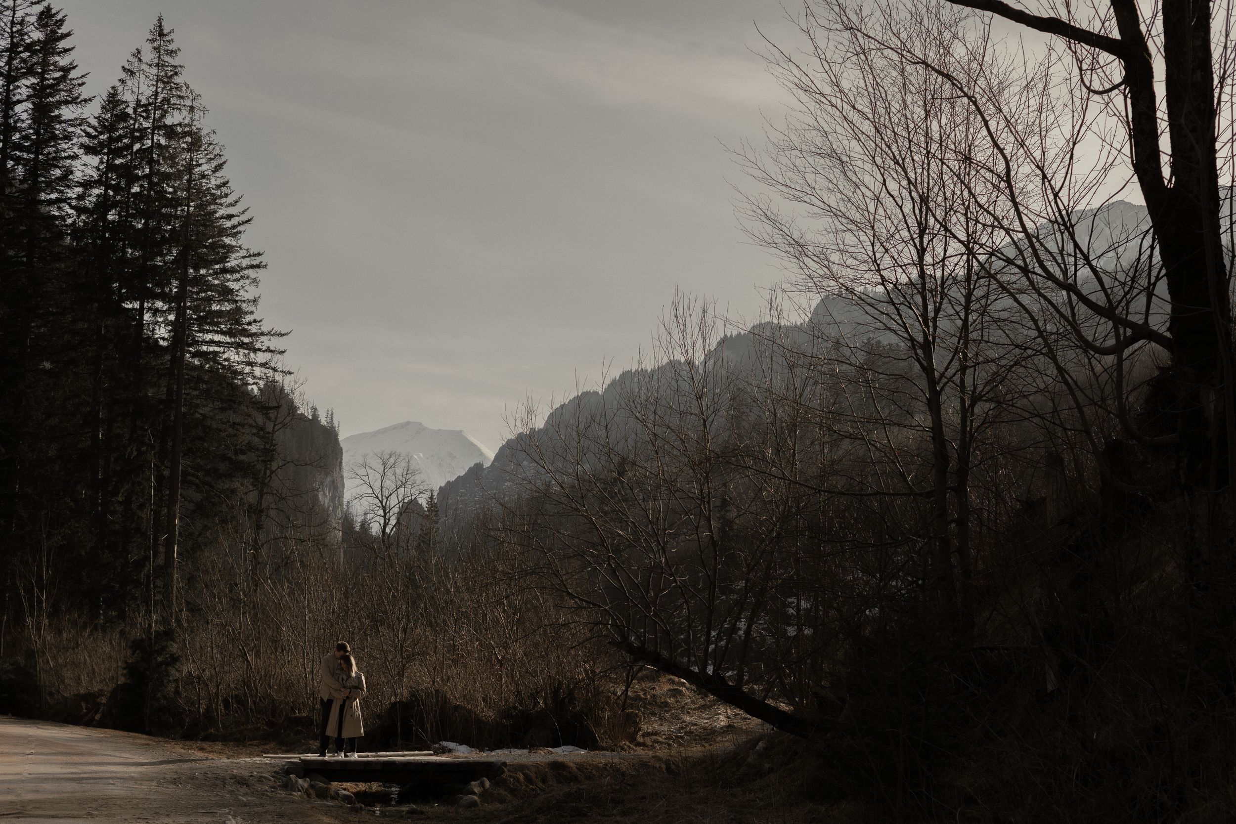 A winding mountain road through a moody forest landscape with misty peaks in the distance.