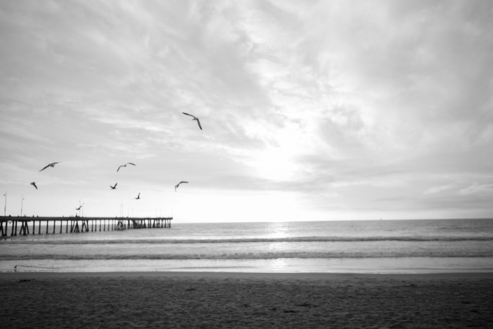 Venice Beach Connie and Stewart Photography