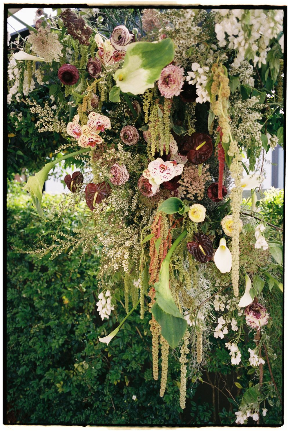 Sarah van Treel — photo 15 of 18