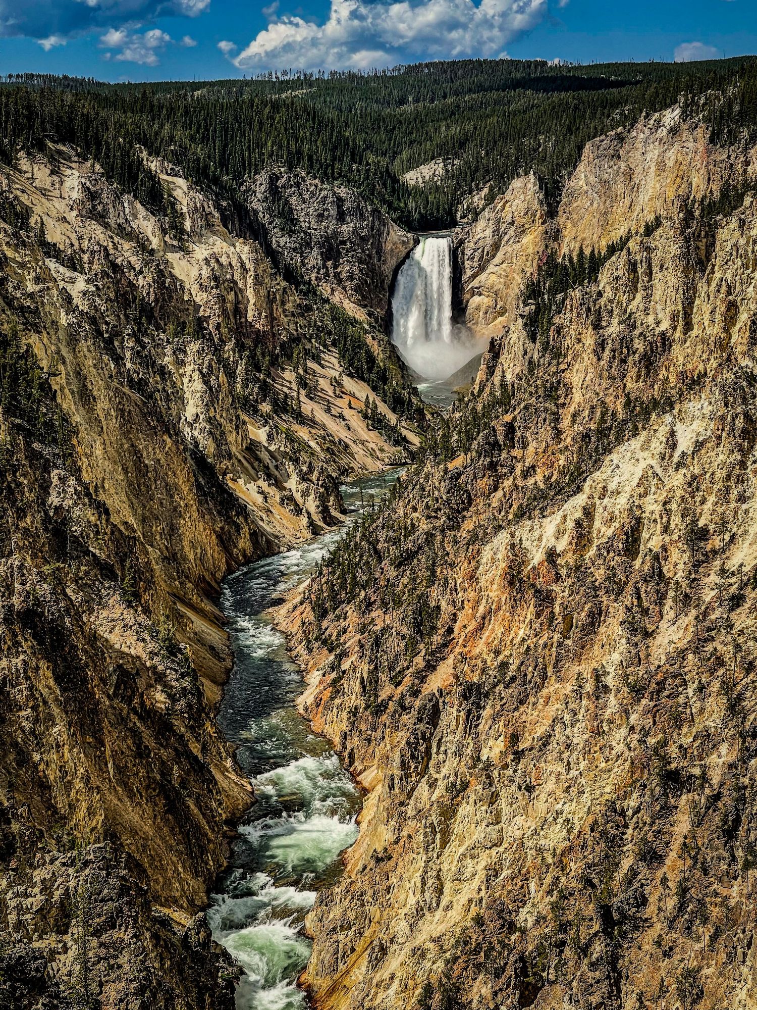 grand canyon of yellowstone