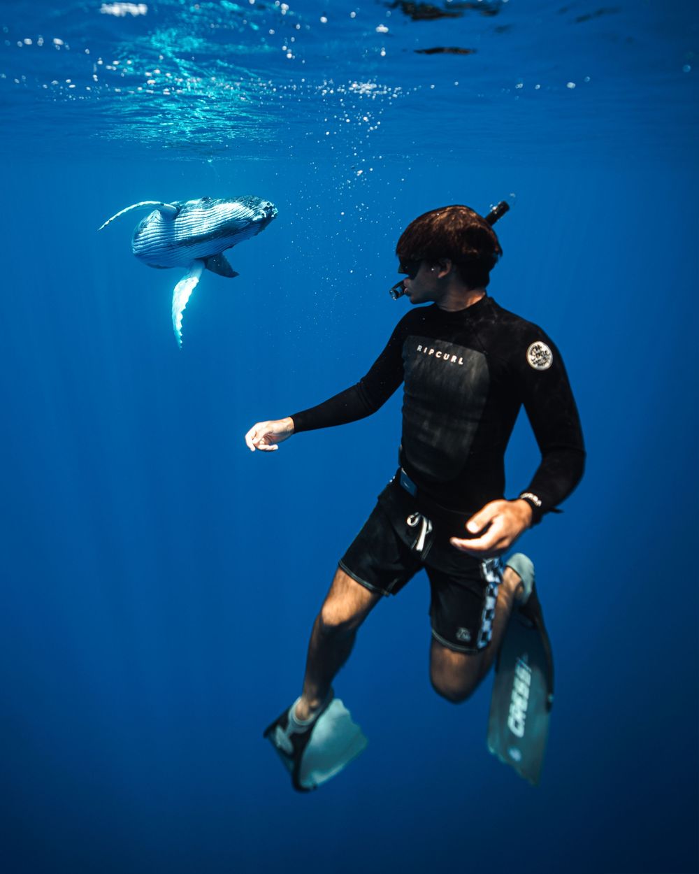 A diver in a black wetsuit swims gracefully through deep blue ocean waters during a freediving session.