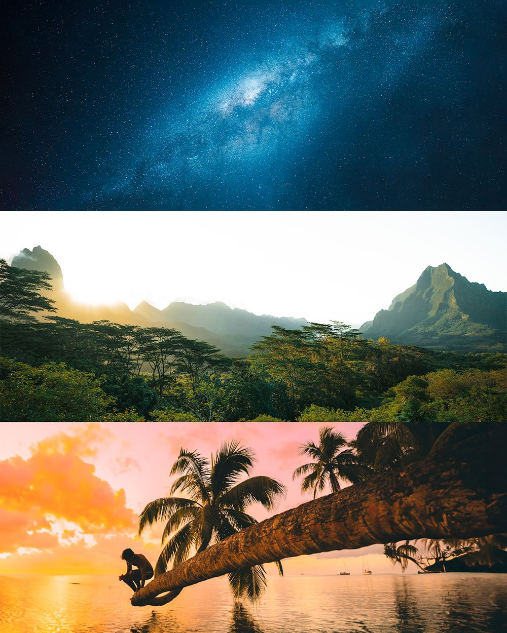 Stunning panoramic view of a tropical beach at sunset with silhouetted palm trees and mountains in Hawaii.