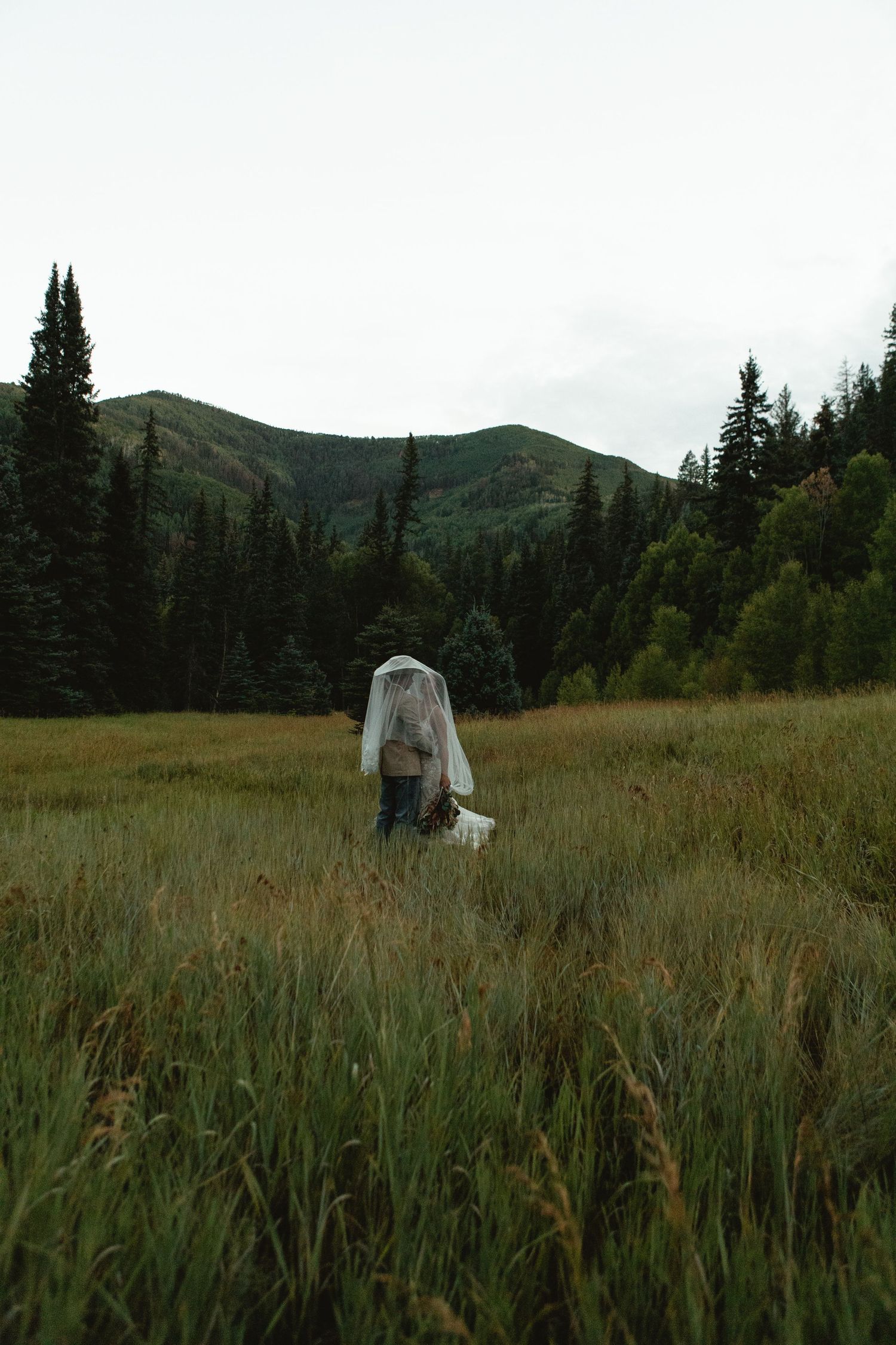Couple under veil in the colorado mountains