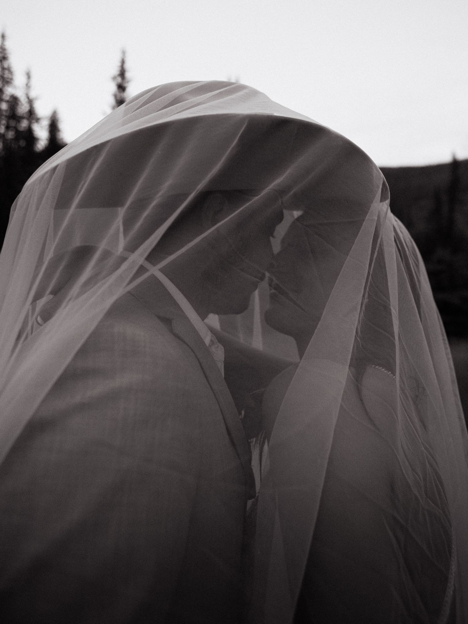 Moody black and white veil shot