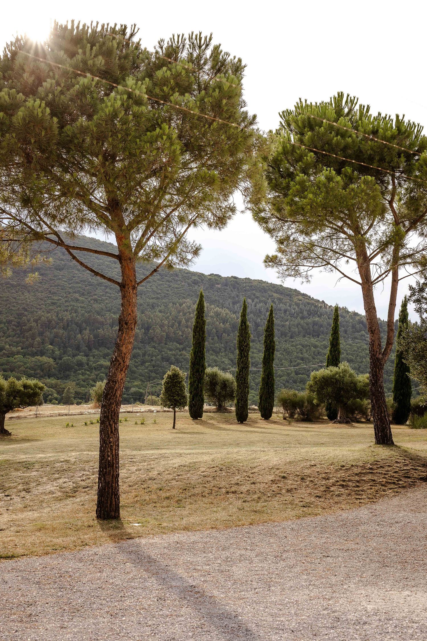 Le Marche region Treia