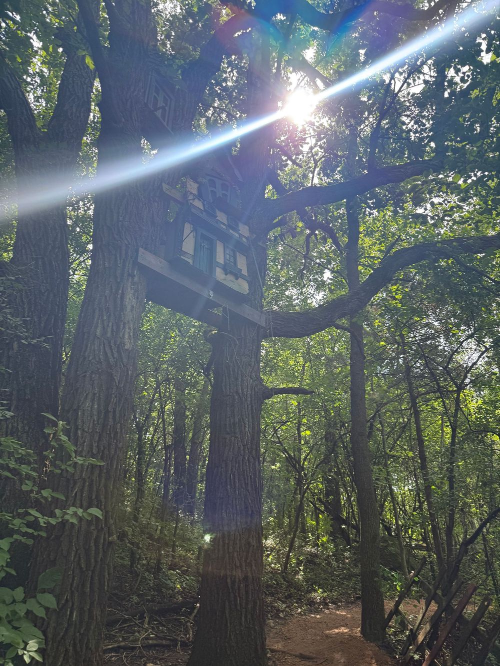 Minnesota renaissance festival fairy house