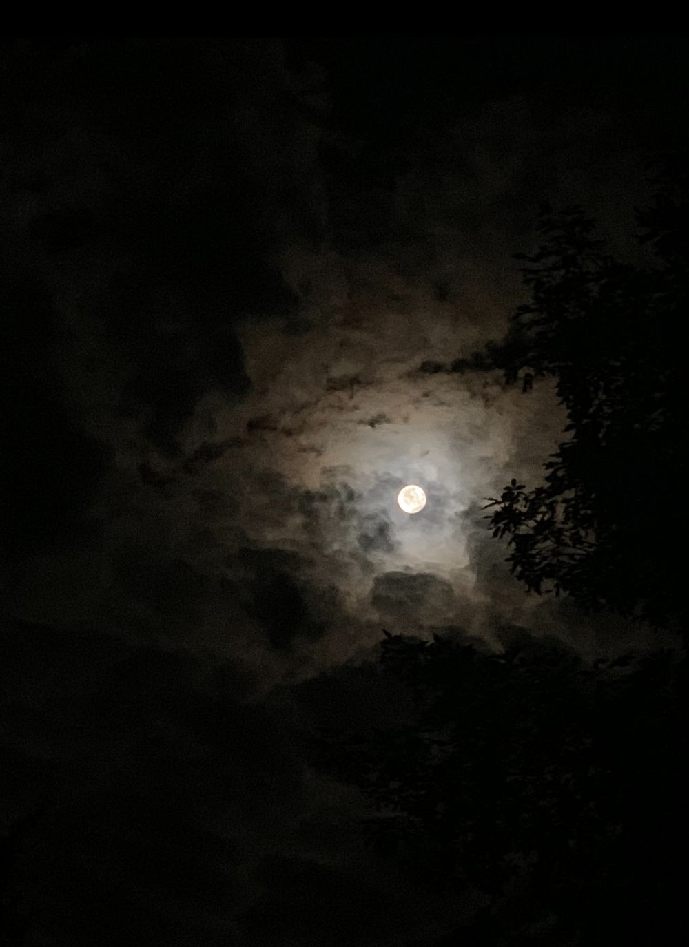 Full moon