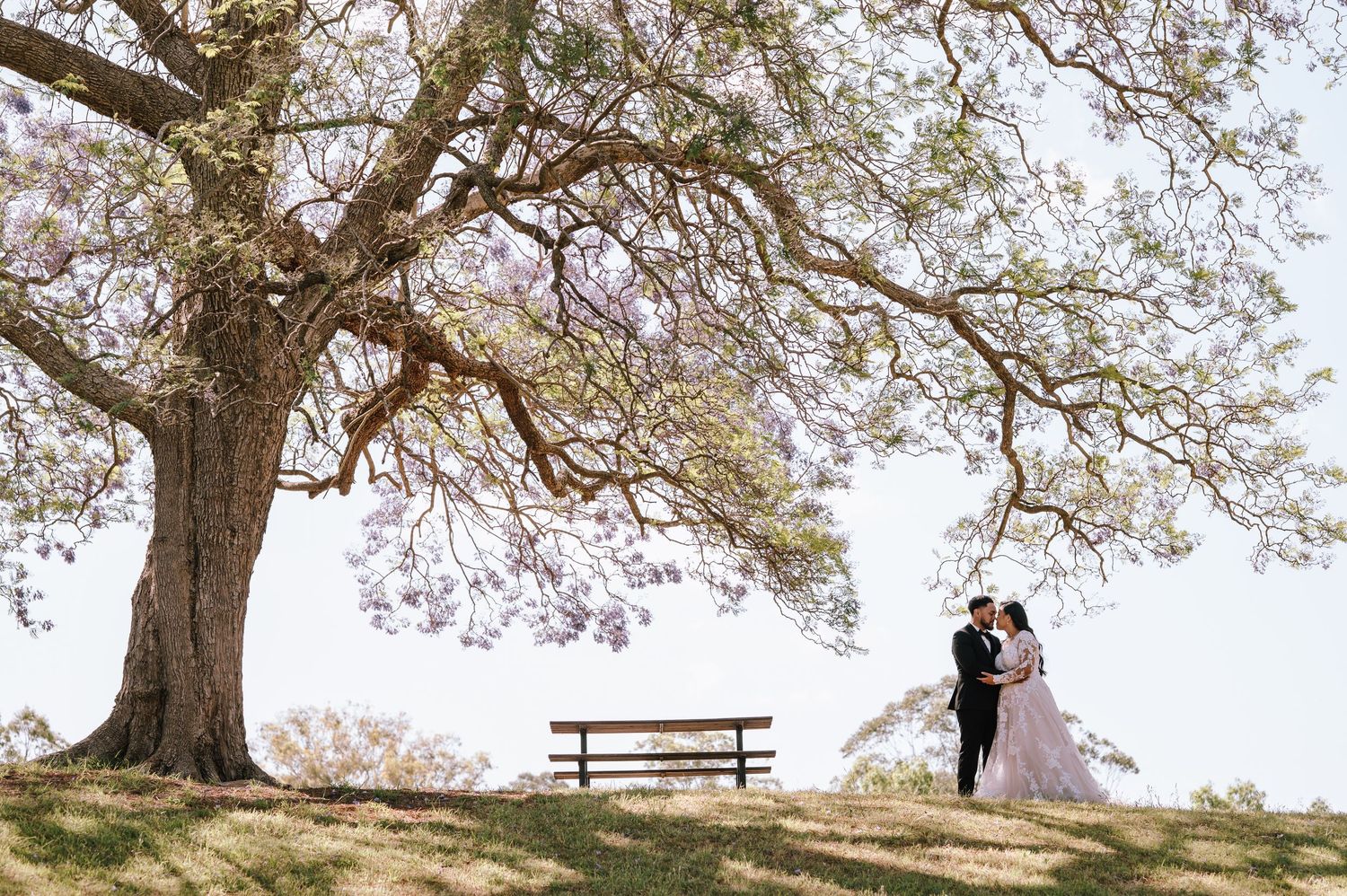A romantic couple embraces under blooming cherry blossom trees on a hilltop with benches in the springtime.