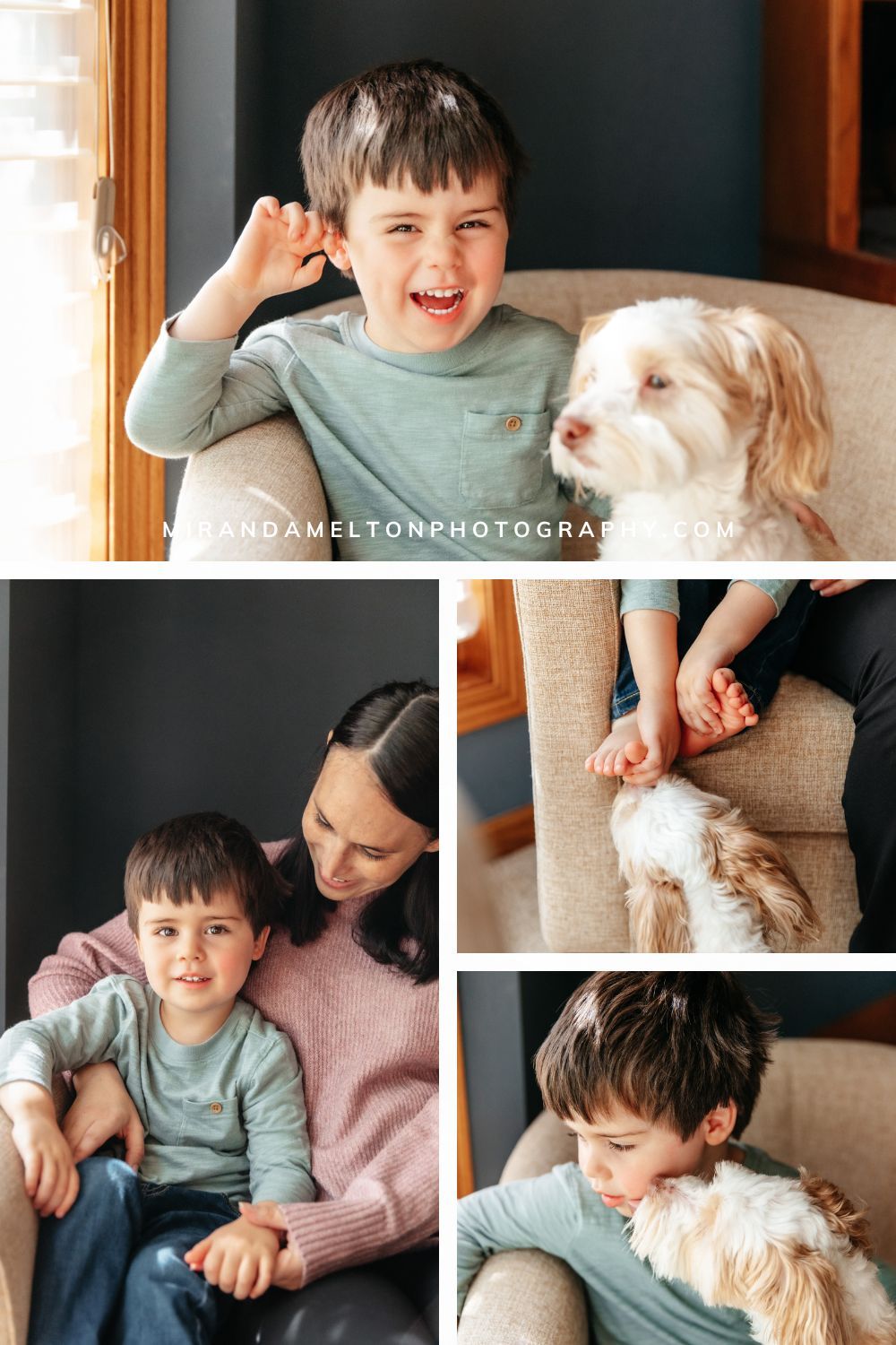Older sibling and dog at in-home lifestyle newborn photos in New Prague, MN