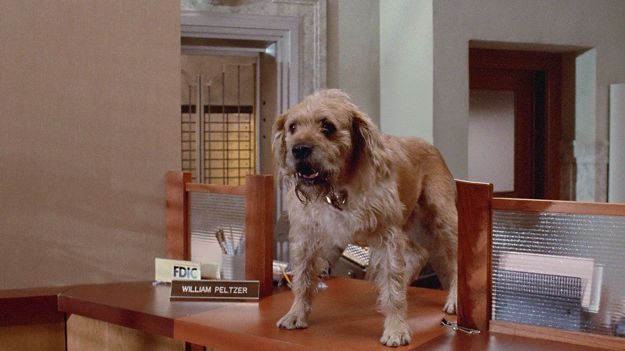 Barney the dog, played by Mushroom, in Gremlins