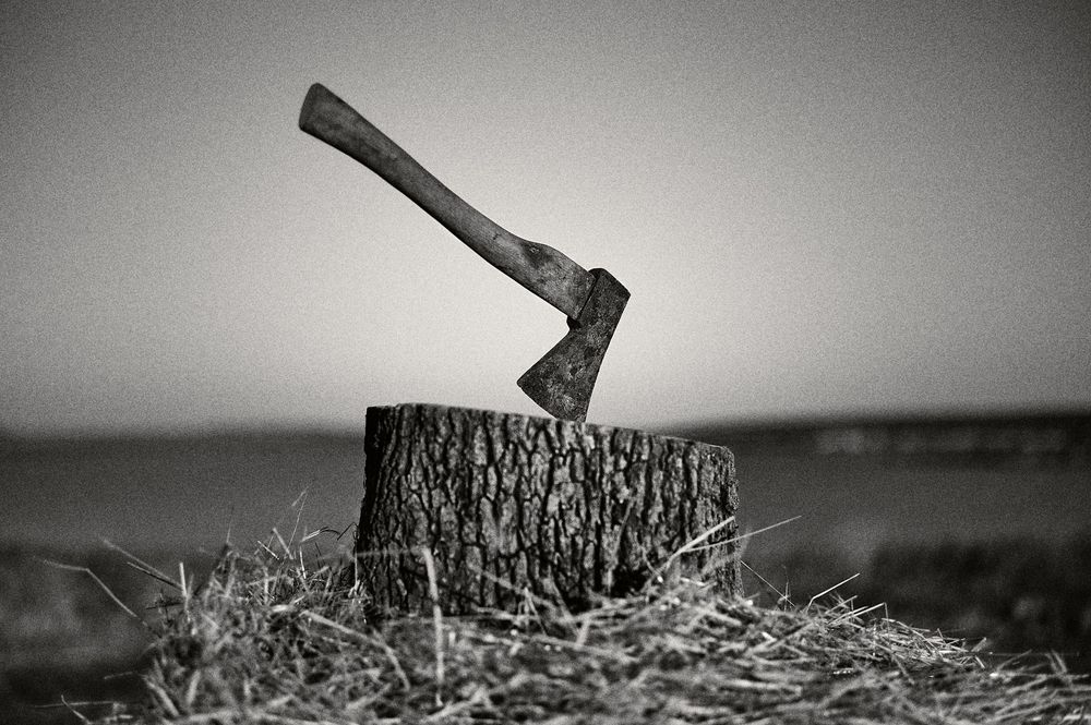 A black and white photo series showing an axe splitting wood on a rustic chopping block.
