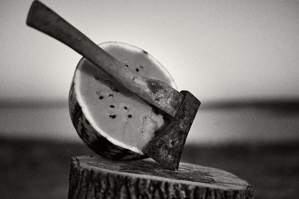 A dramatic sequence of an axe chopping through a log in black and white photography.