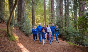 A group of people walking along a scenic forest trail lined with tall evergreen trees on a sunny day.