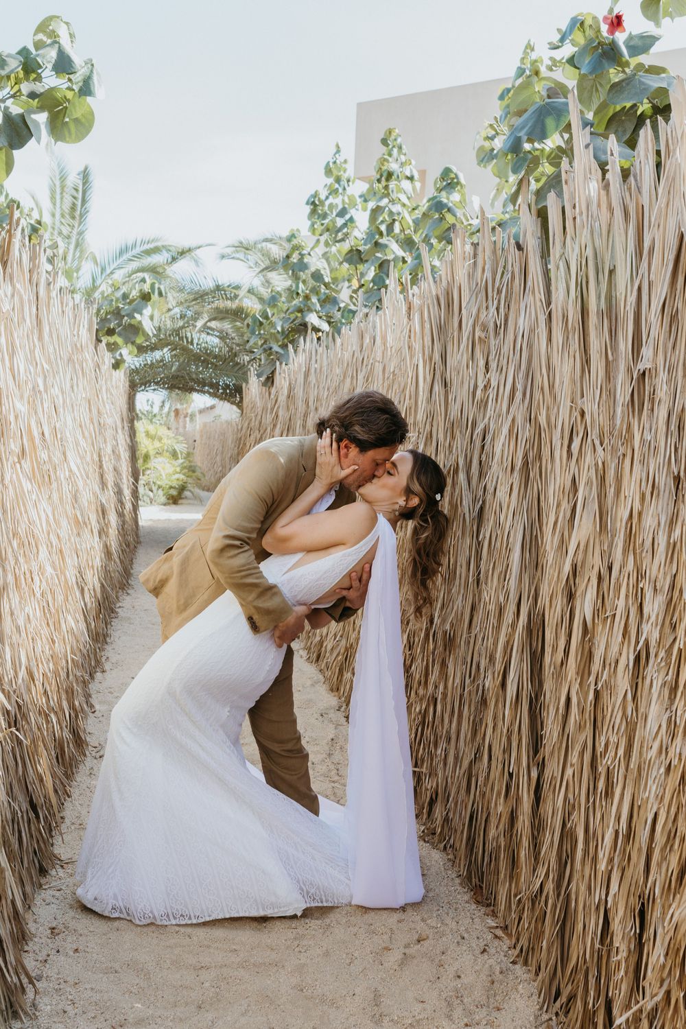 first look todos santos