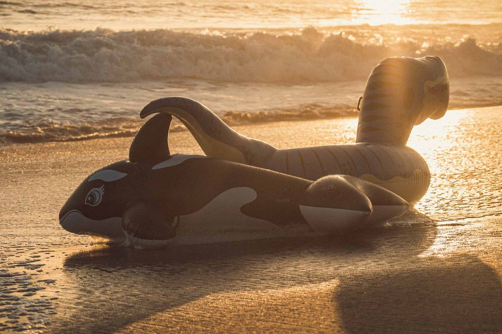 Inflatable orca whale float resting on a sunny beach at golden sunset with ocean waves in the background.