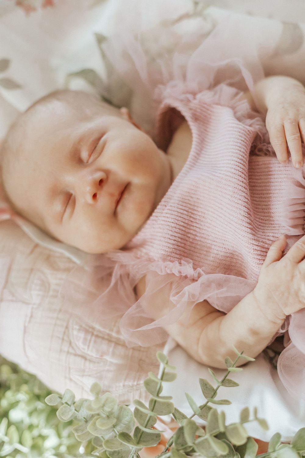 A peaceful newborn baby sleeping in a pink tulle dress, surrounded by soft eucalyptus leaves.