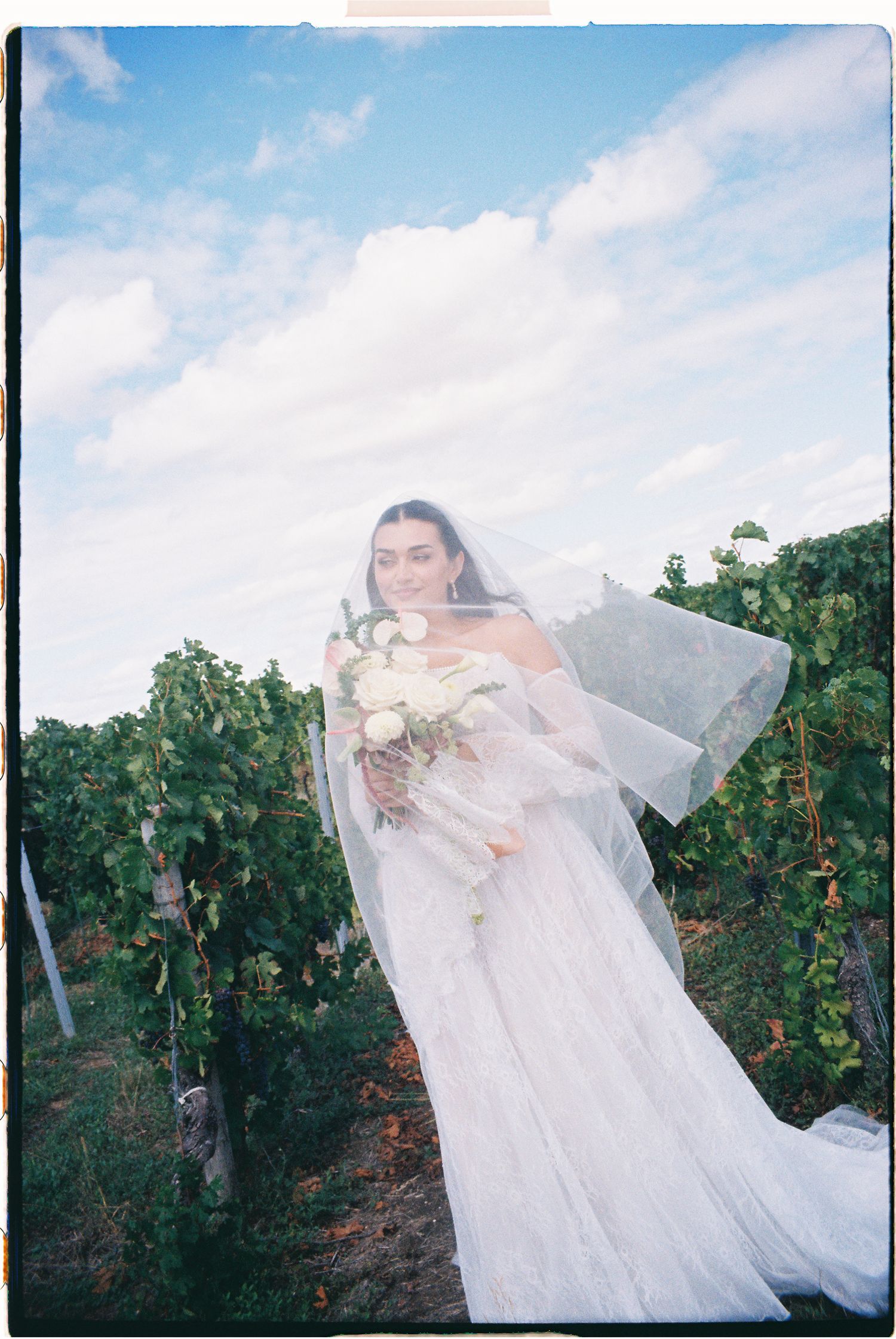 Bride in white gown and veil holding bouquet among vineyard rows under blue sky.
