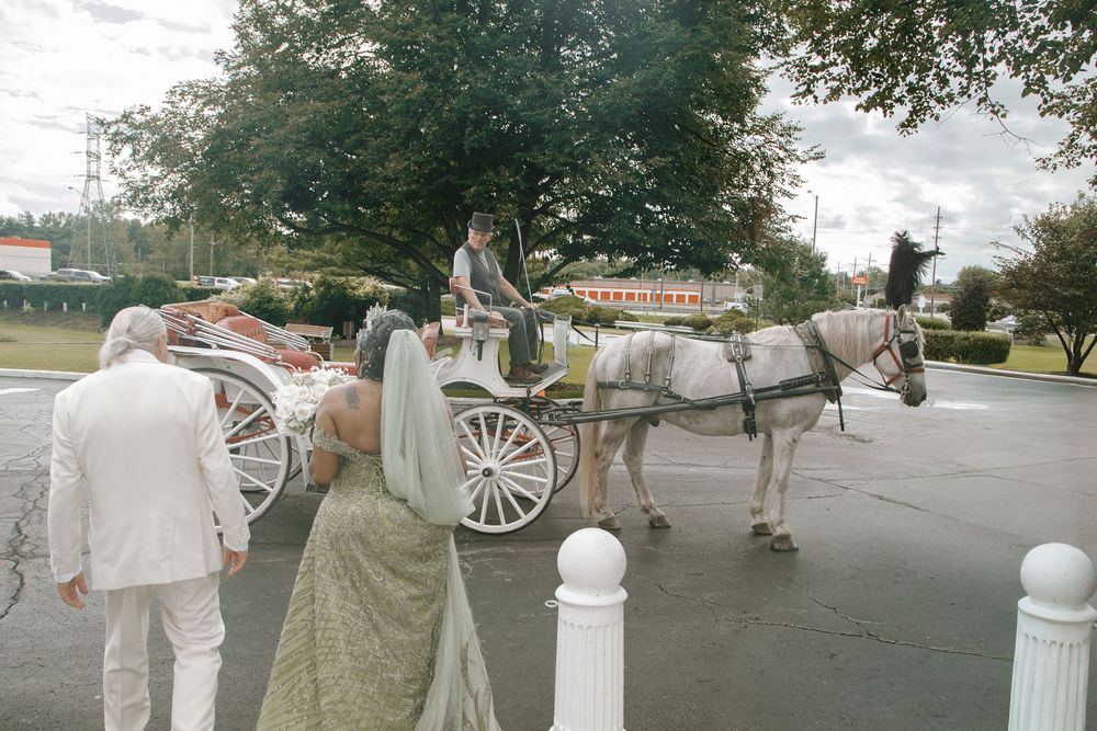 White horse-drawn carriage with driver at a wedding venue, guests in formal attire nearby, surrounded by trees.