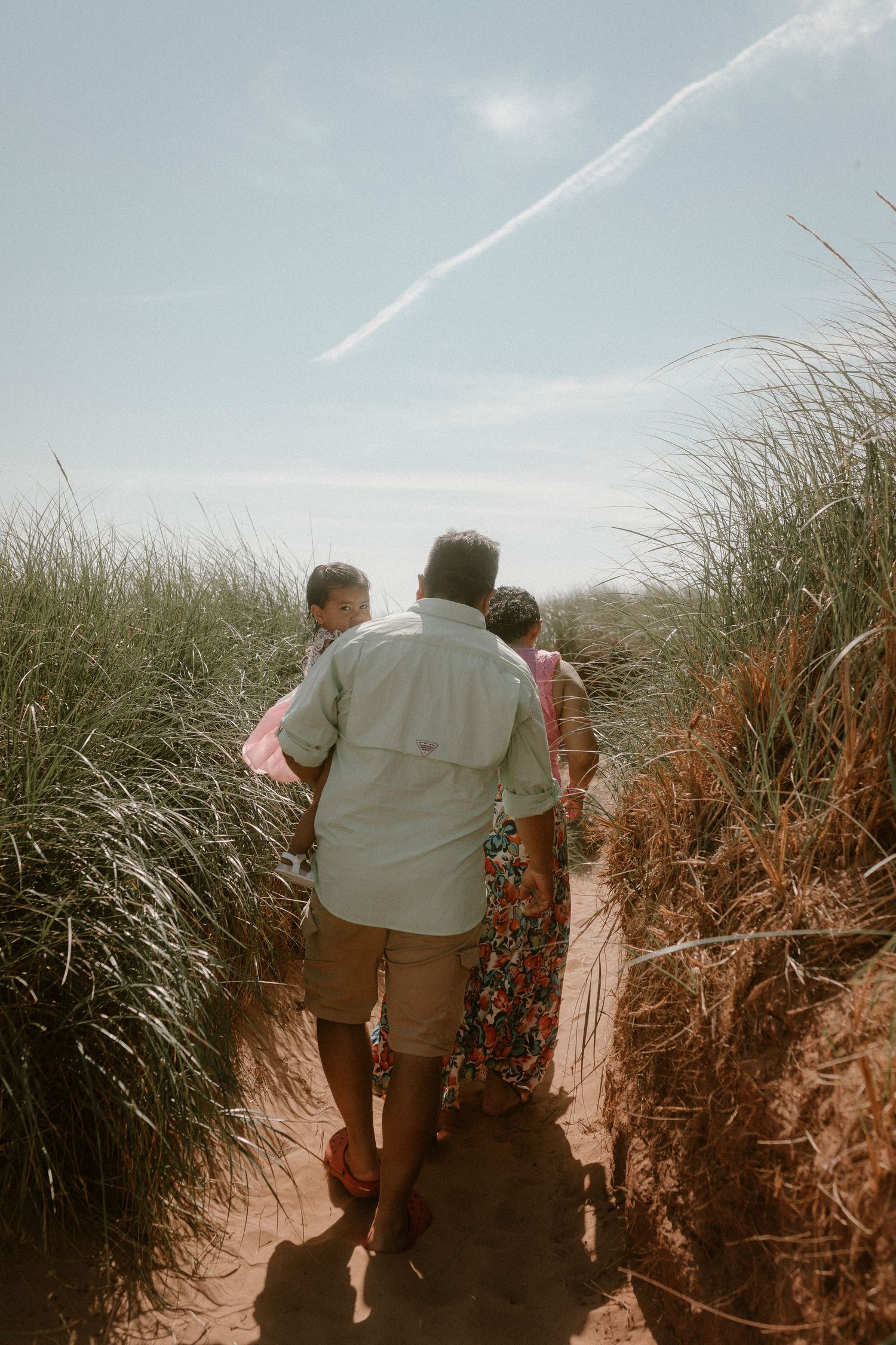 Family walking through tall beach grass on a sandy path under a blue sky.