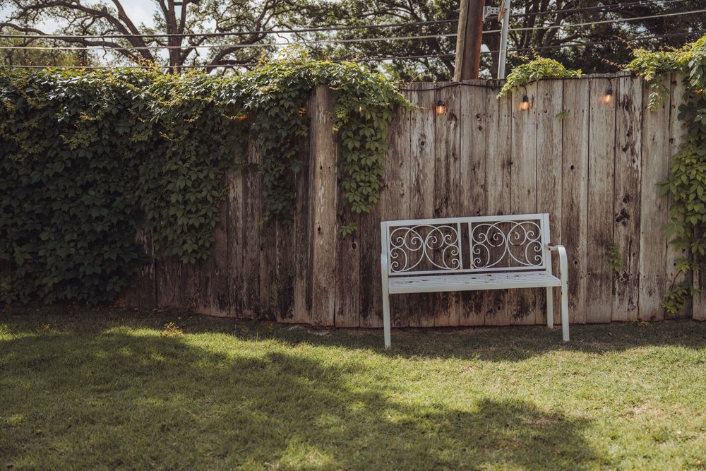 White ornate metal bench against a rustic wooden fence covered in lush green ivy in a peaceful backyard garden.