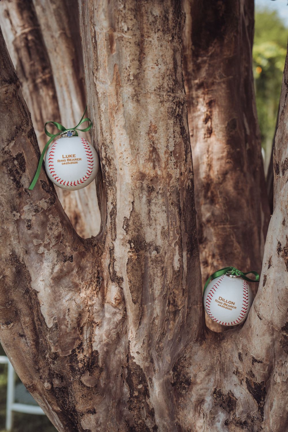 Personalized baseball ornaments with green ribbons hanging on a tree trunk as unique wedding favors.