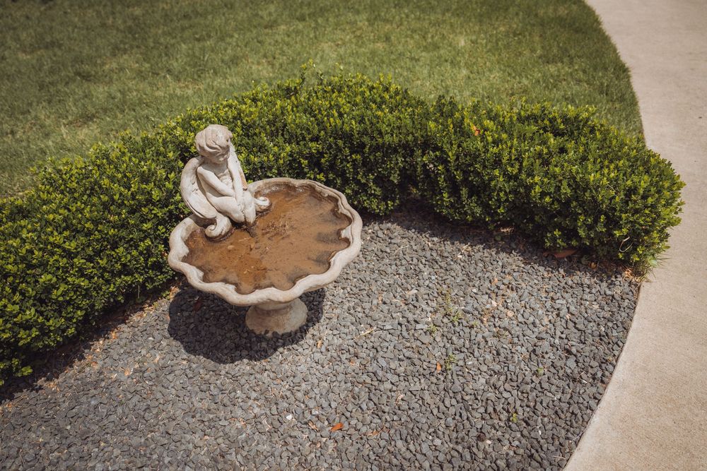 Stone bird bath with cherub statue surrounded by trimmed boxwood hedges and gravel landscaping on green lawn.