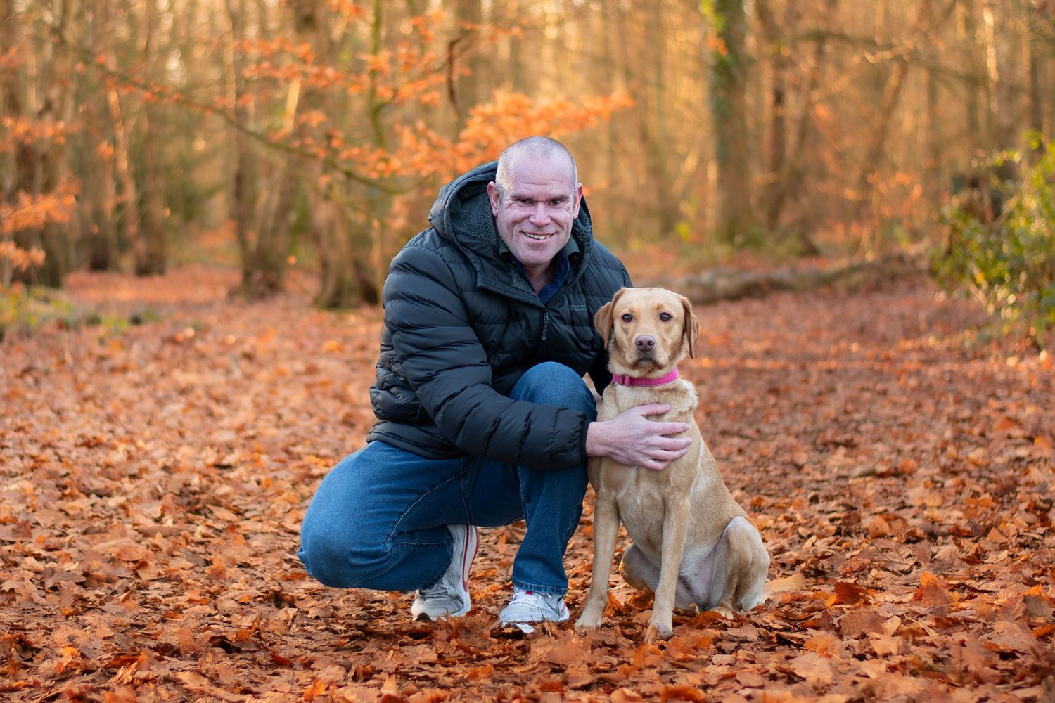 A yellow Labrador retriever sits with someone on fallen autumn leaves in a forest setting during fall season.
