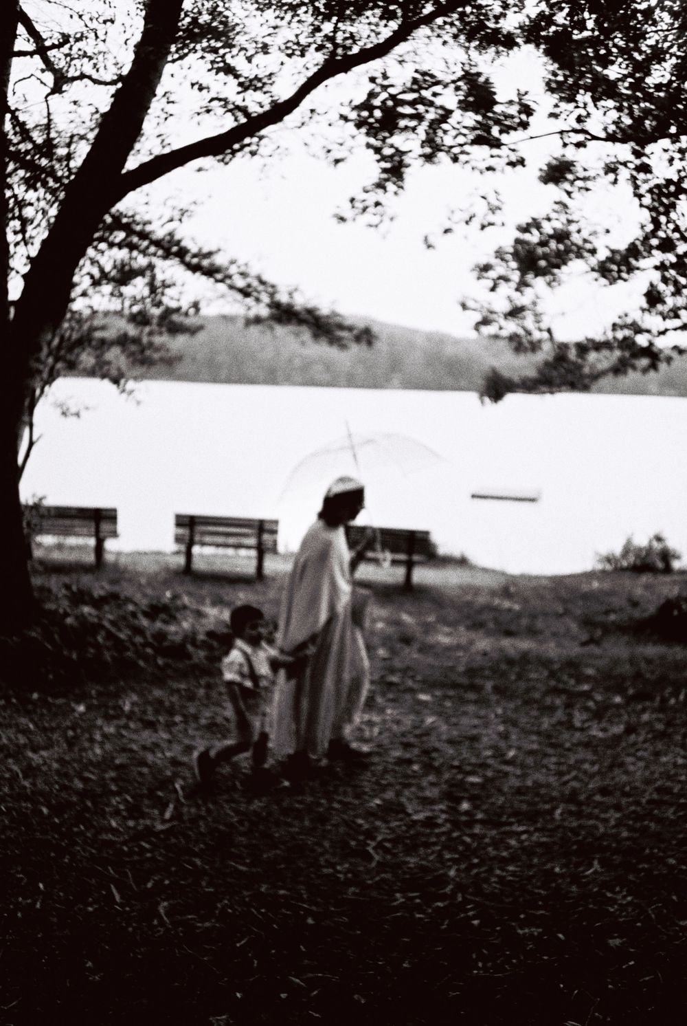 The sister of the groom holds hands with her young son while walking toward the wedding ceremony. A lake and benches are in the background