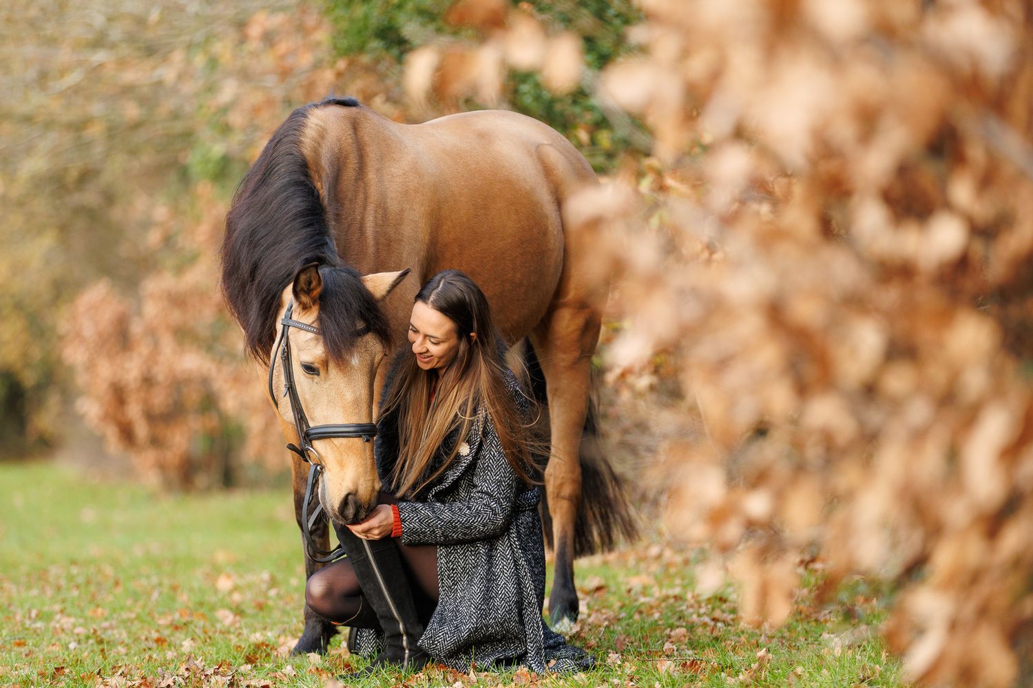 A person in a flowing red gown poses with a majestic black horse in an autumn forest setting.