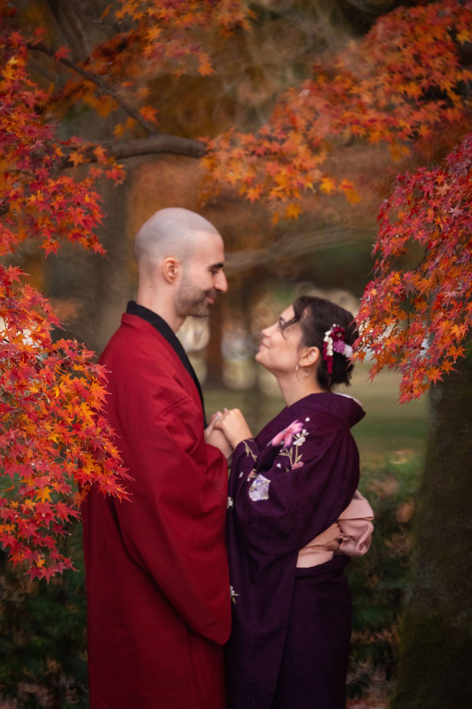 Couple in red and purple kimono gazing at each other amid brilliant red autumn maple foliage.