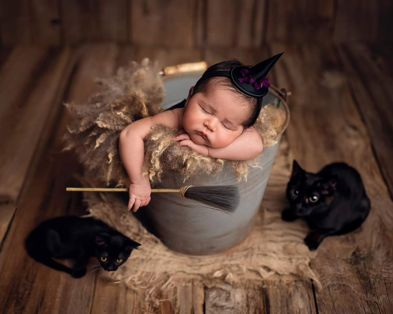 Sleeping newborn baby in rustic wooden setting with vintage props and dark cat companion in professional photo session.