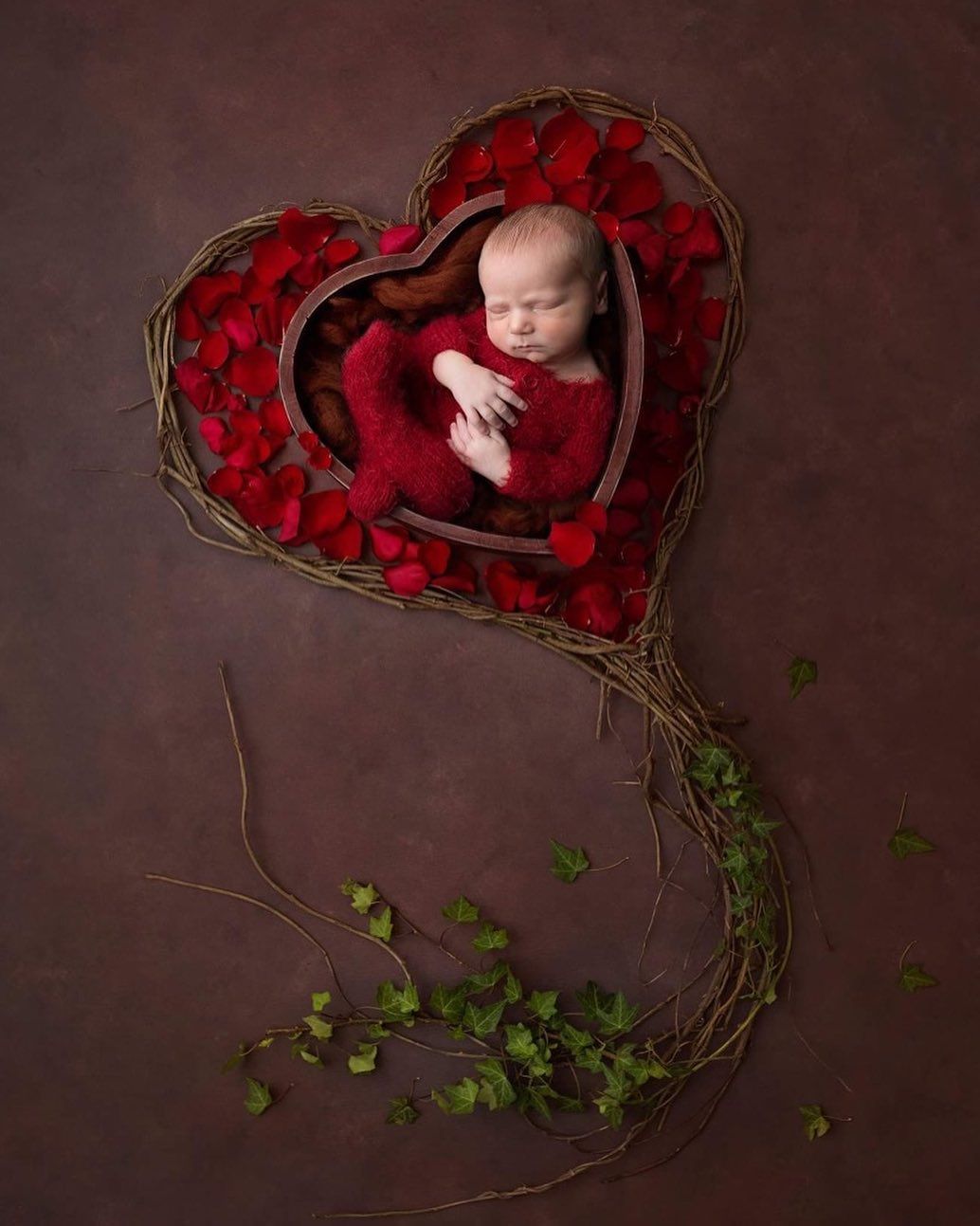 A heart-shaped arrangement of red roses with green vines surrounds a sleeping baby on a dark brown backdrop.