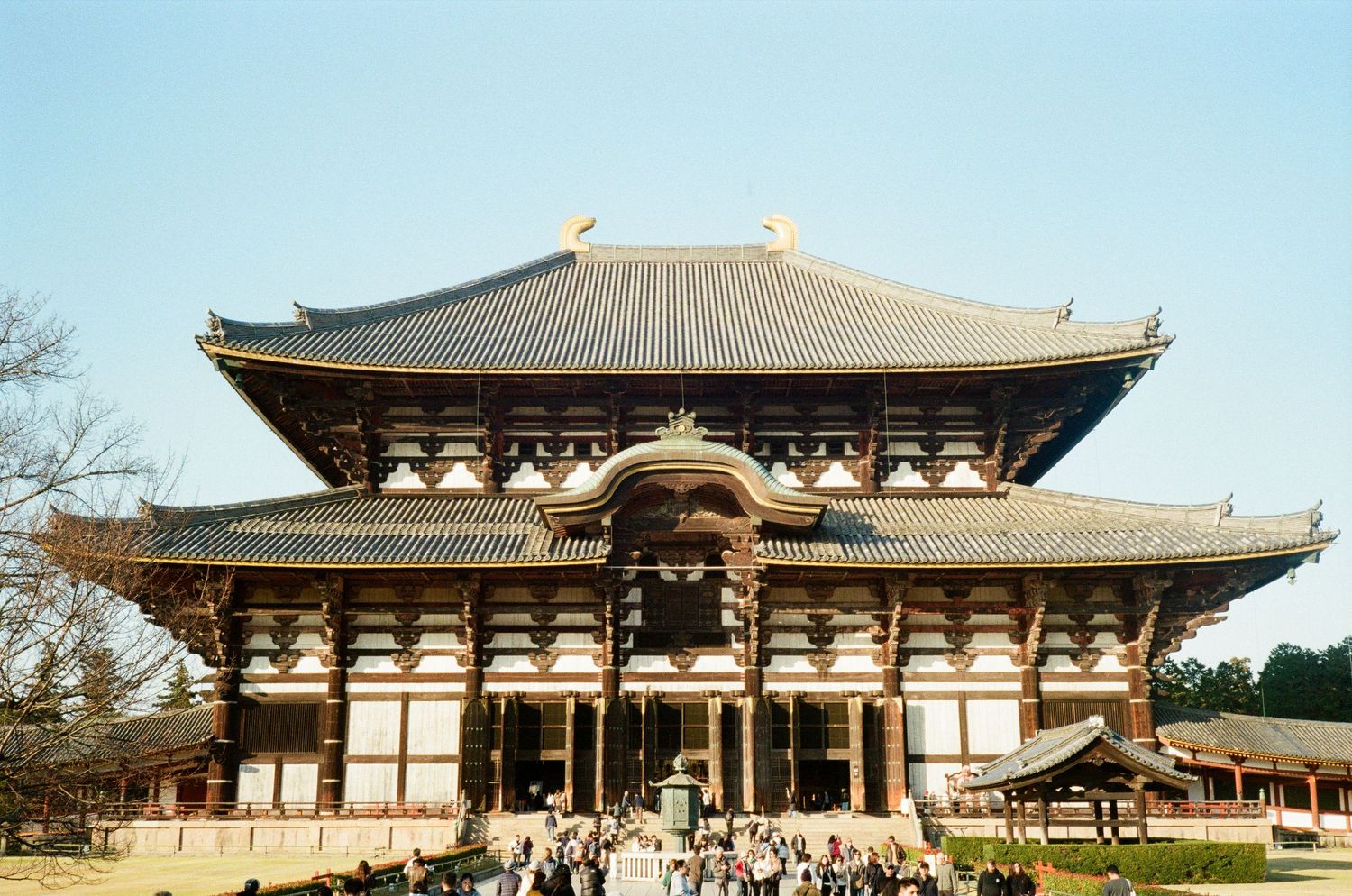 Panoramic view of Himeji Castle in Japan with autumn foliage and blue sky.
