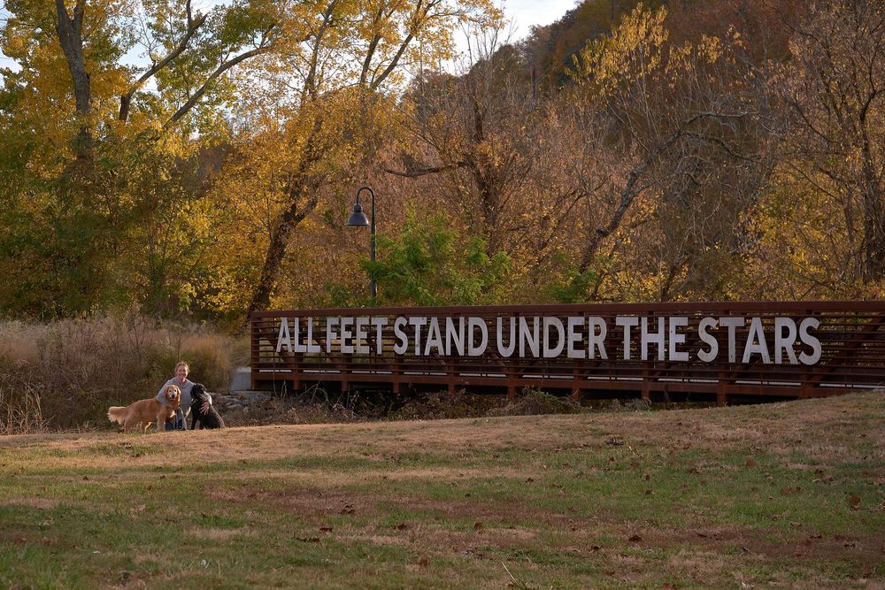 A graffiti message reading 'ALL POETS STAND UNDER THE STARS' painted on a concrete wall in autumn scenery.