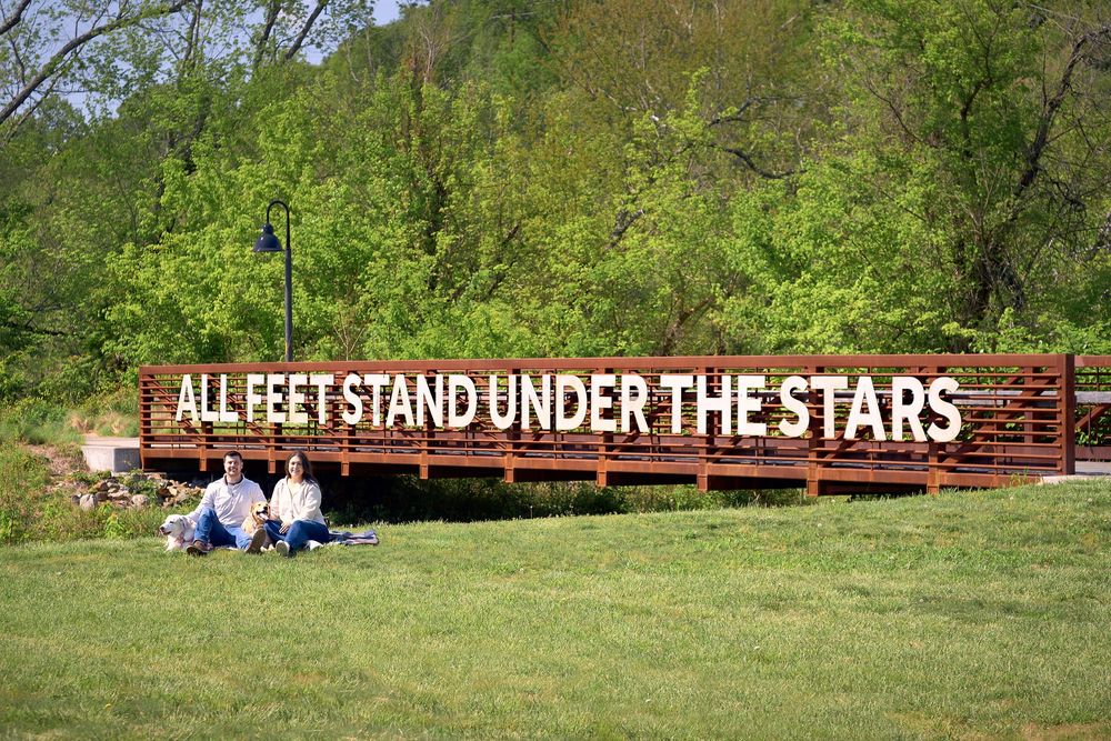 A red wooden fence with text 'ALL FEET STAND UNDER THE STARS' stands in a green meadow on a sunny day.