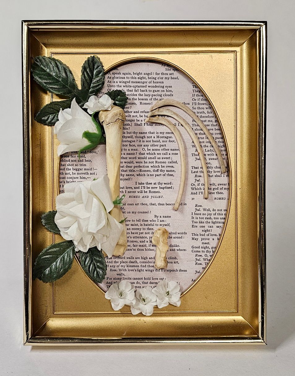 framed raccoon bones