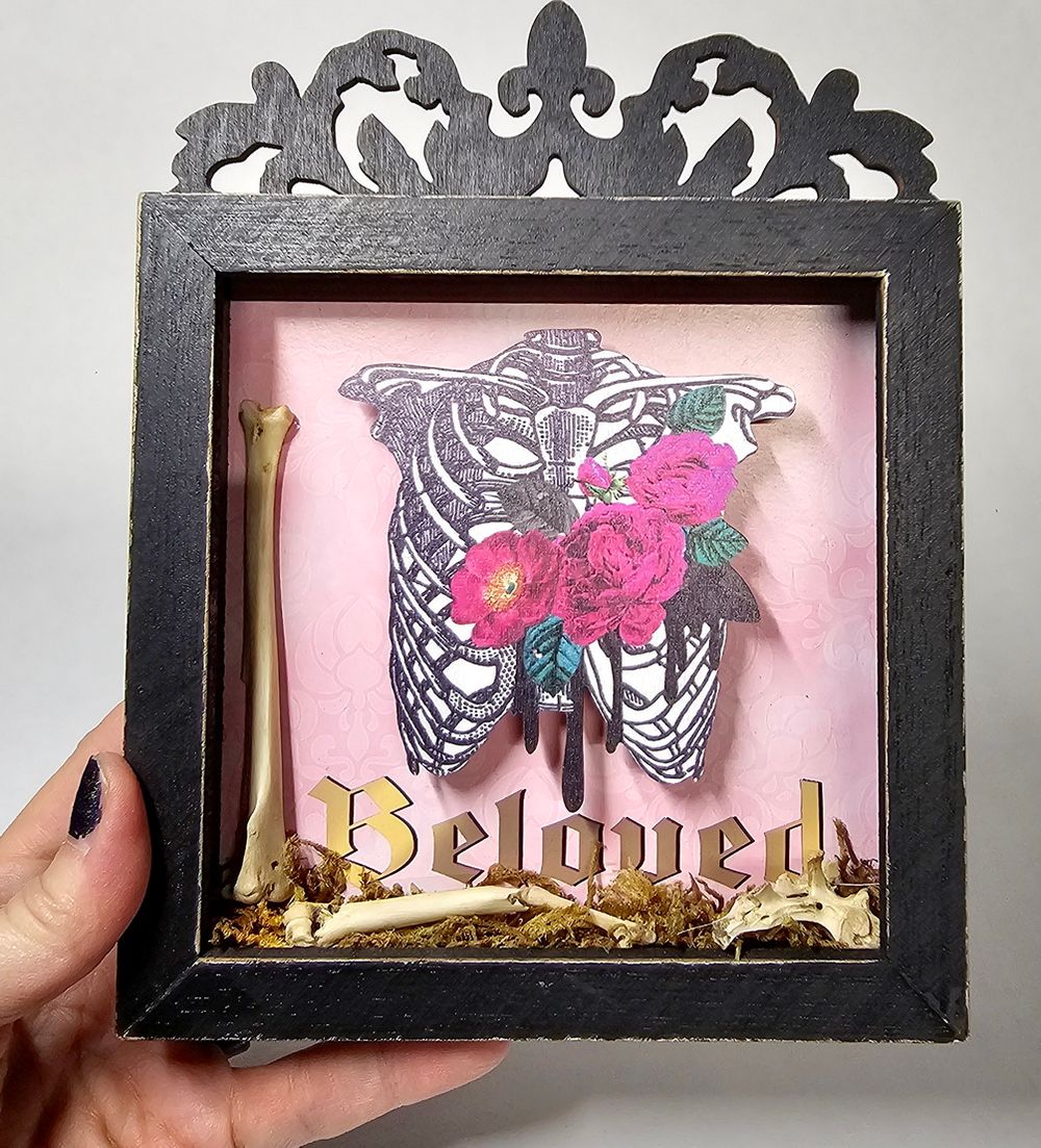 framed bones
