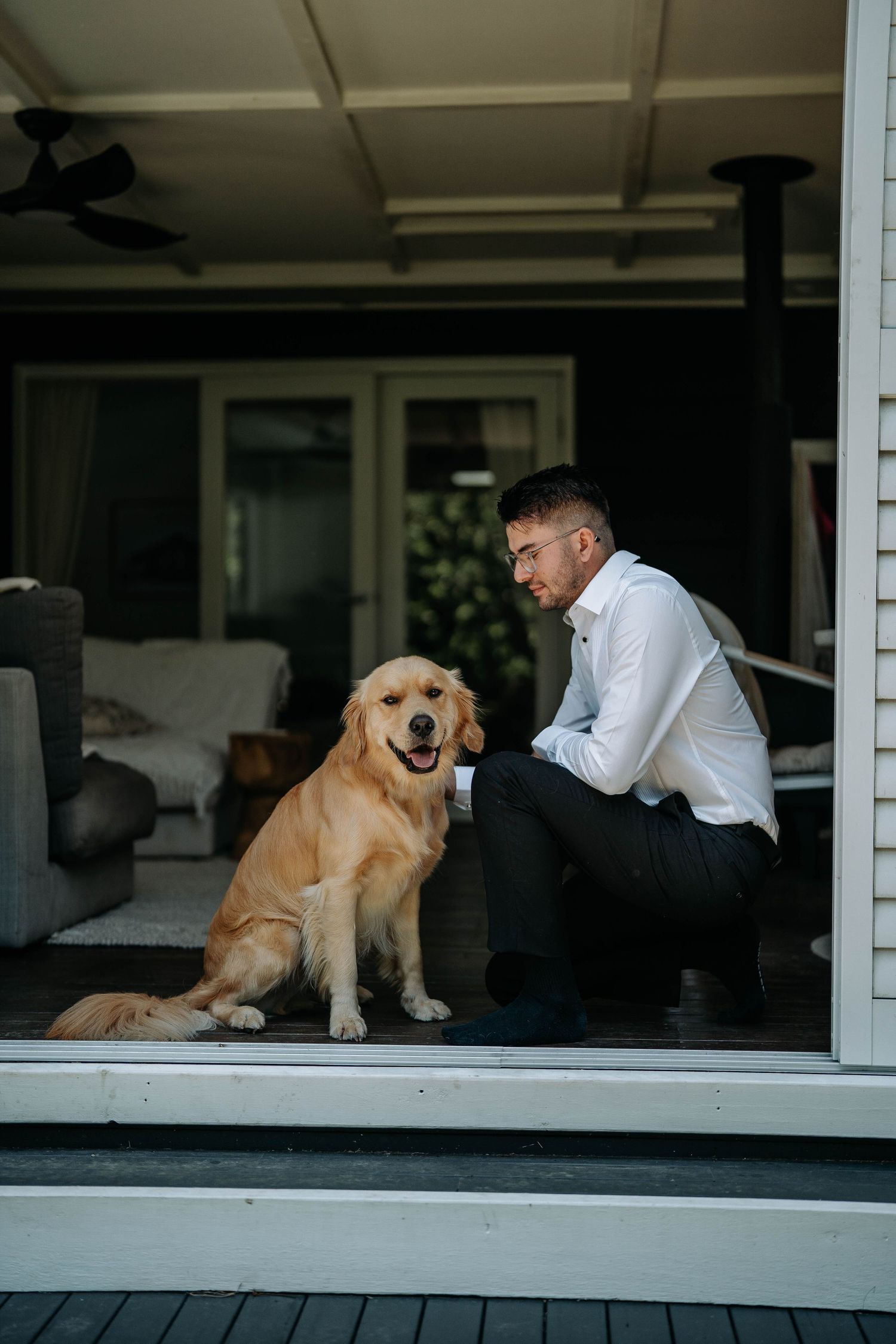 A Golden Retriever sits with someone in a modern office window, creating a series of progressive shots showing interaction.