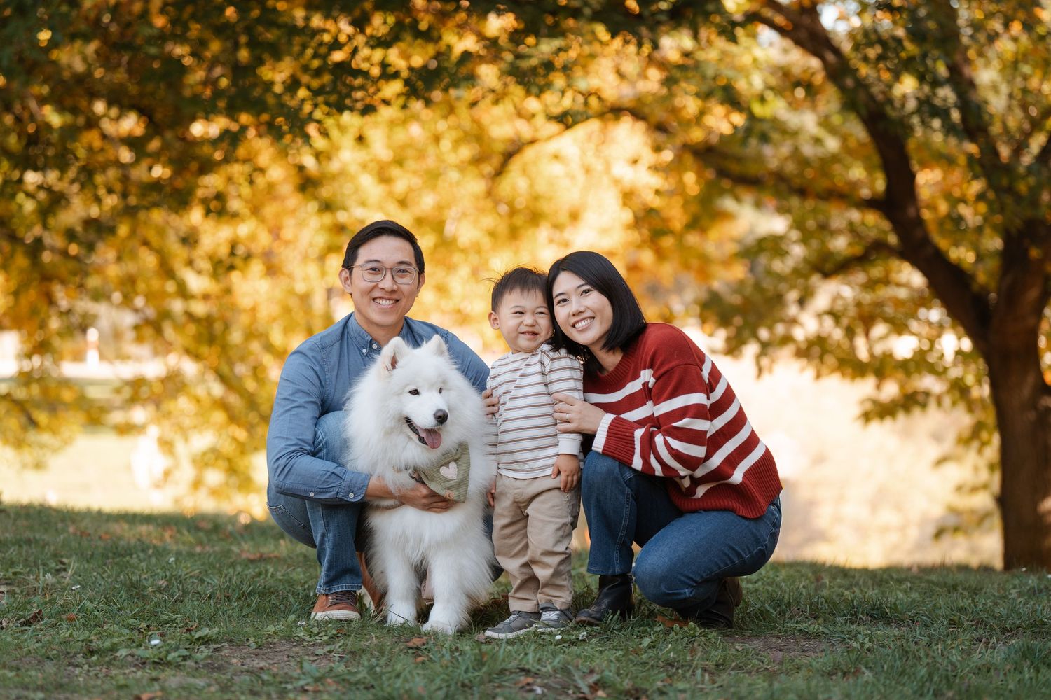 A family and their fluffy white dog enjoy a sunny autumn day on grassy hillside under golden trees.