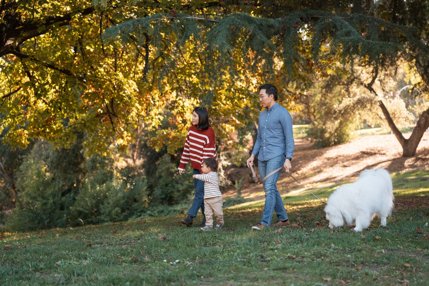 Family group sitting together outdoors on grass with white dog under fall foliage.