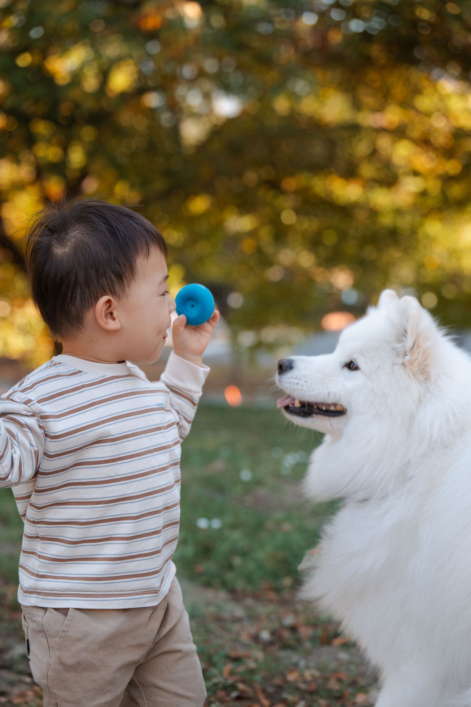 A small child in a striped shirt shares a tender moment with a fluffy white dog in an autumn setting.