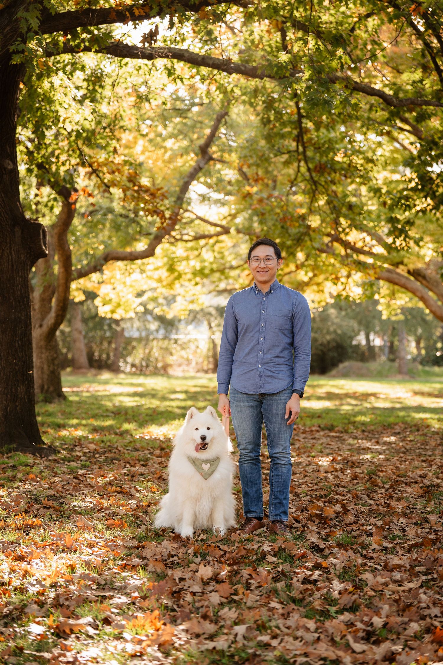 A person in a blue shirt stands with a fluffy white Samoyed dog on fallen autumn leaves in a park setting.