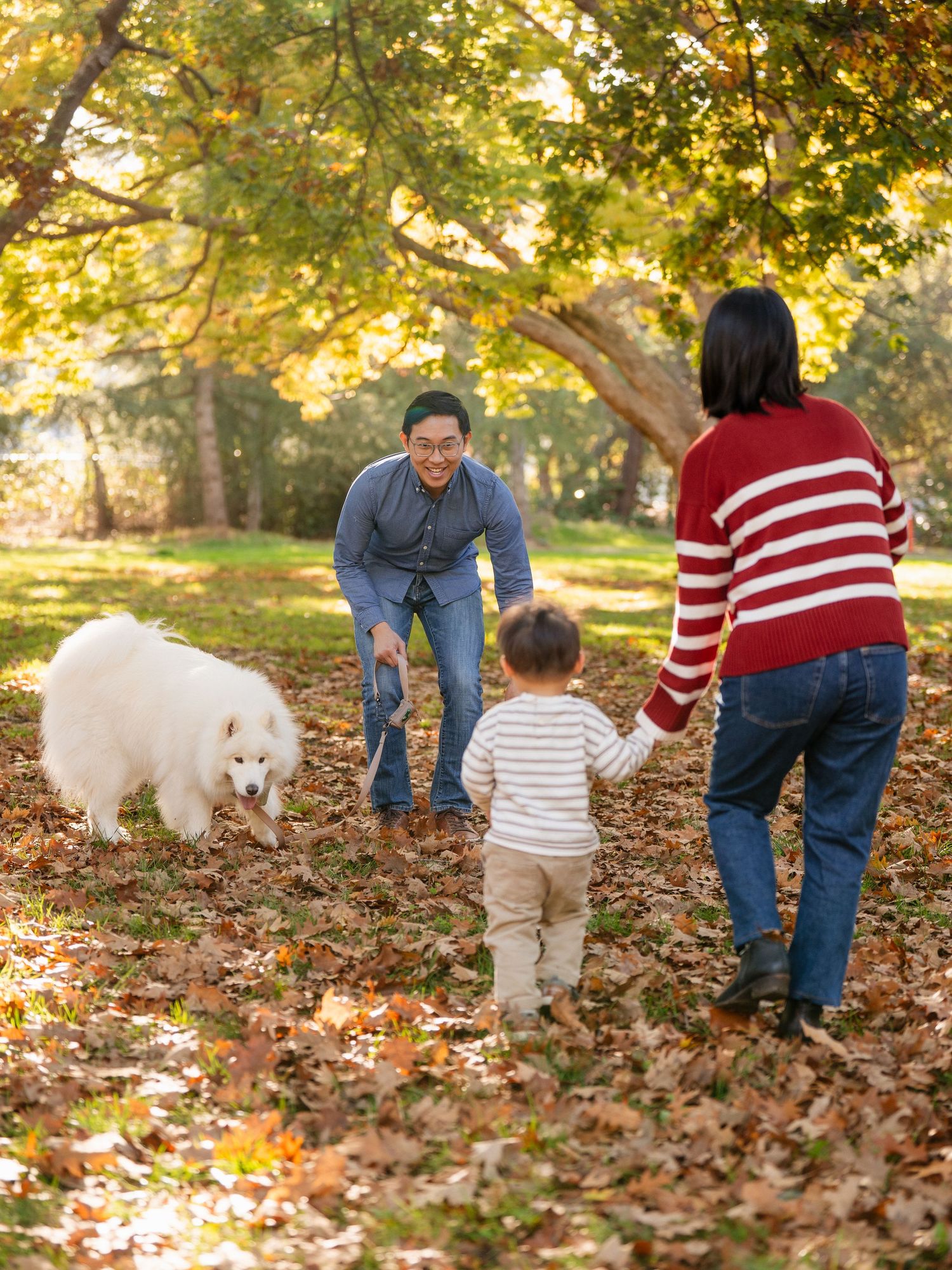 A fluffy white dog follows a family walking through fallen autumn leaves in a park.