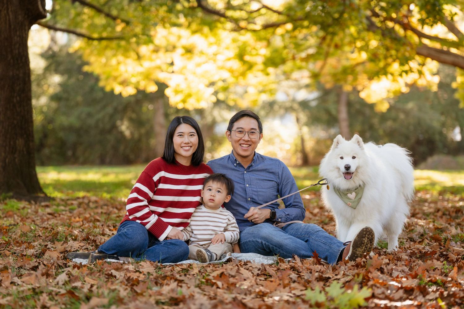 A family sits together on fallen autumn leaves with their fluffy white Samoyed dog in a park at sunset.
