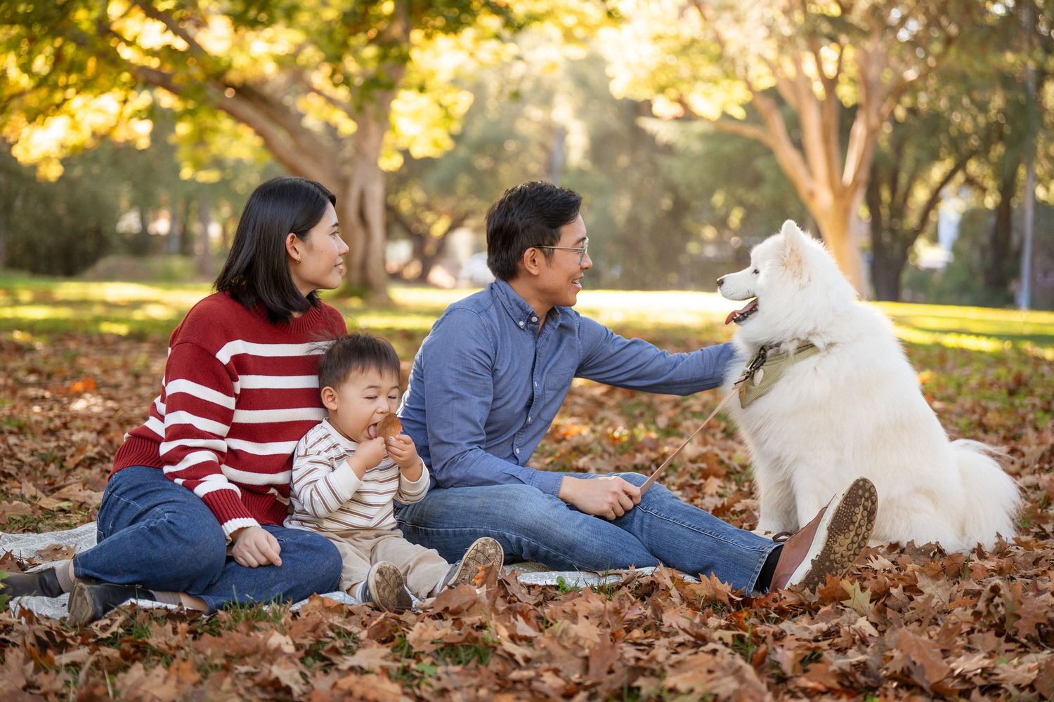 Family and white dog playing together in autumn leaves at sunset in a park.